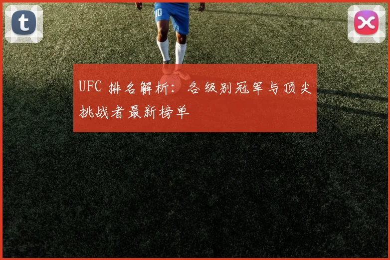 UFC 排名解析：各级别冠军与顶尖挑战者最新榜单