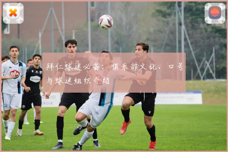 拜仁球迷必备：俱乐部文化、口号与球迷组织介绍